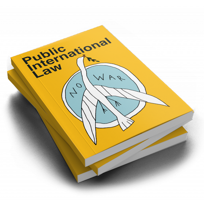 Public International Law (1. Auflage)